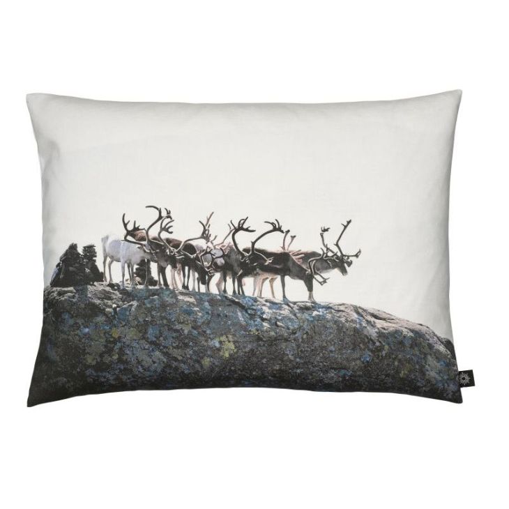 coussin cerf