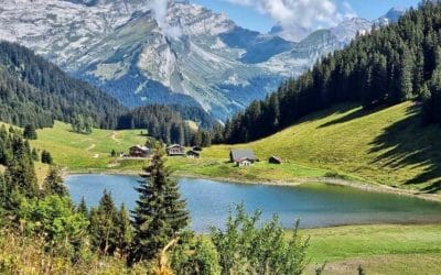 Le Refuge du Lac de Gers : Un écrin de verdure au cœur du Grand Massif
